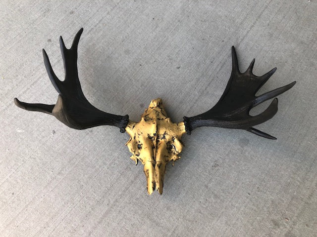 Gevir - Elghode - Custom made 4YOU