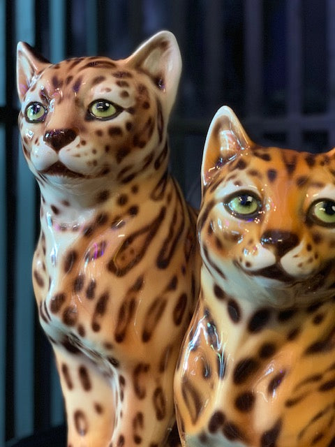 Porselen "Bengalkatt" H40 "Bestilling"