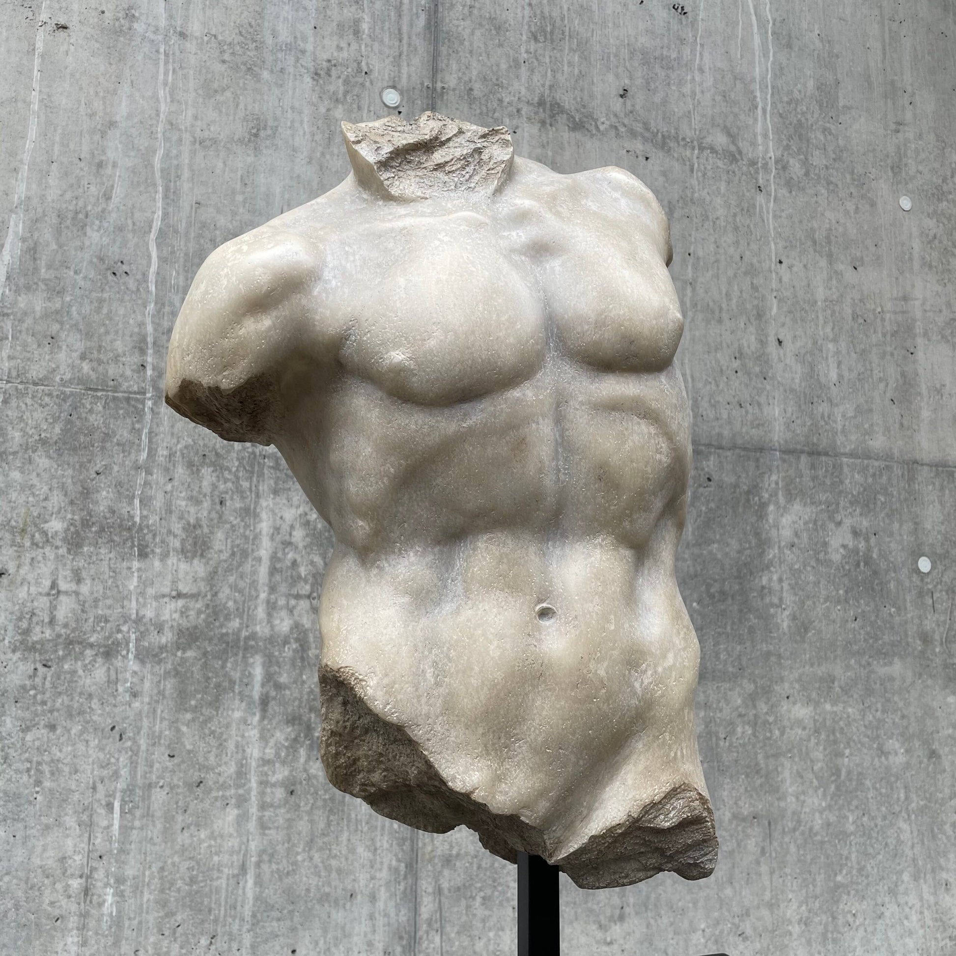 Byste "Man Torso" 71 cm