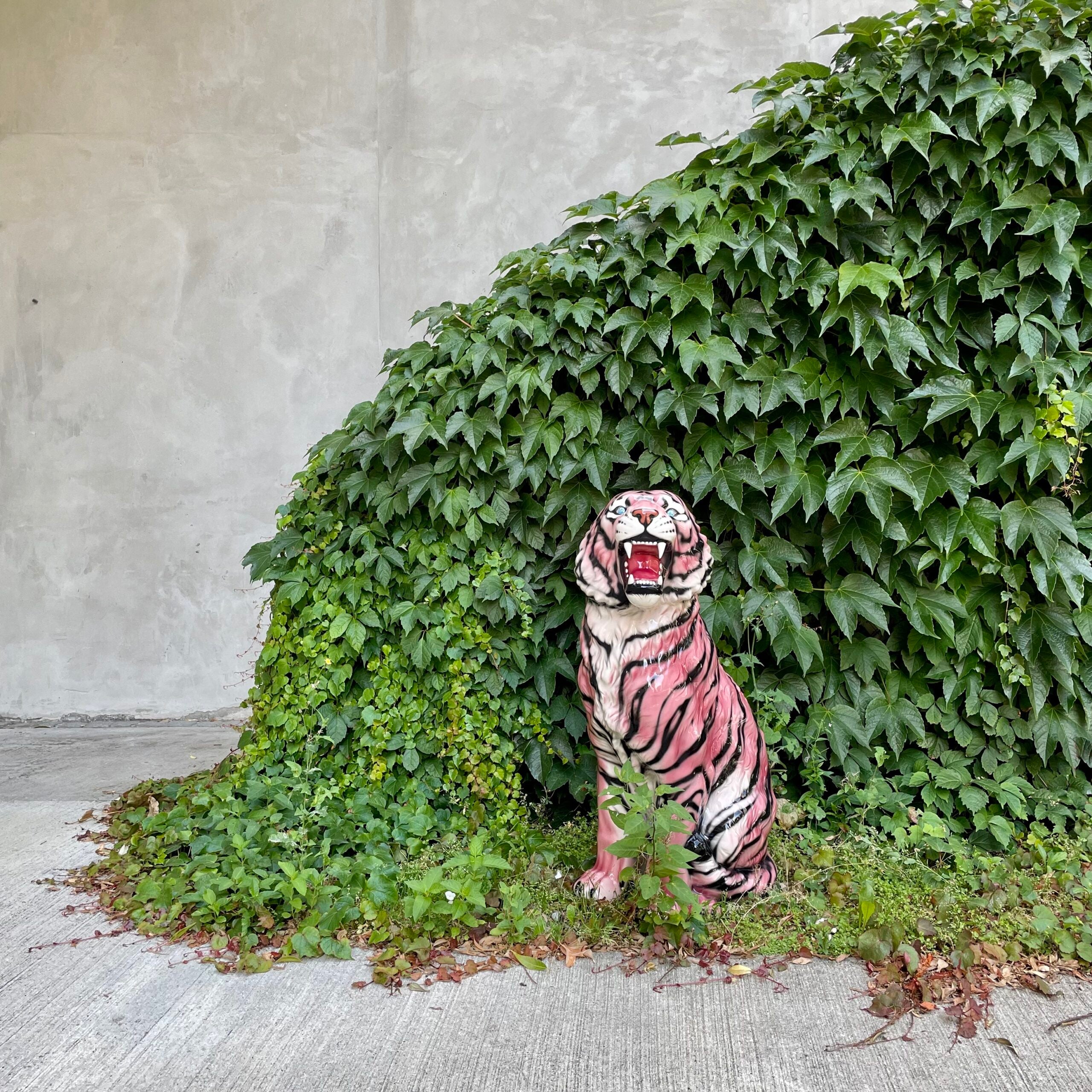 Porselen "Rosa Tiger" 92 cm XL. Bestilling!