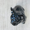 Porselen "Franskbulldog" Svart Blank. 34 cm