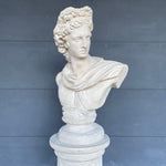 Byste "Julius Caesar" 82 cm