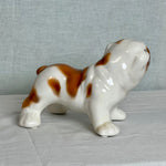 Porselen "Bulldog valp" 15 cm. Hvit og brun