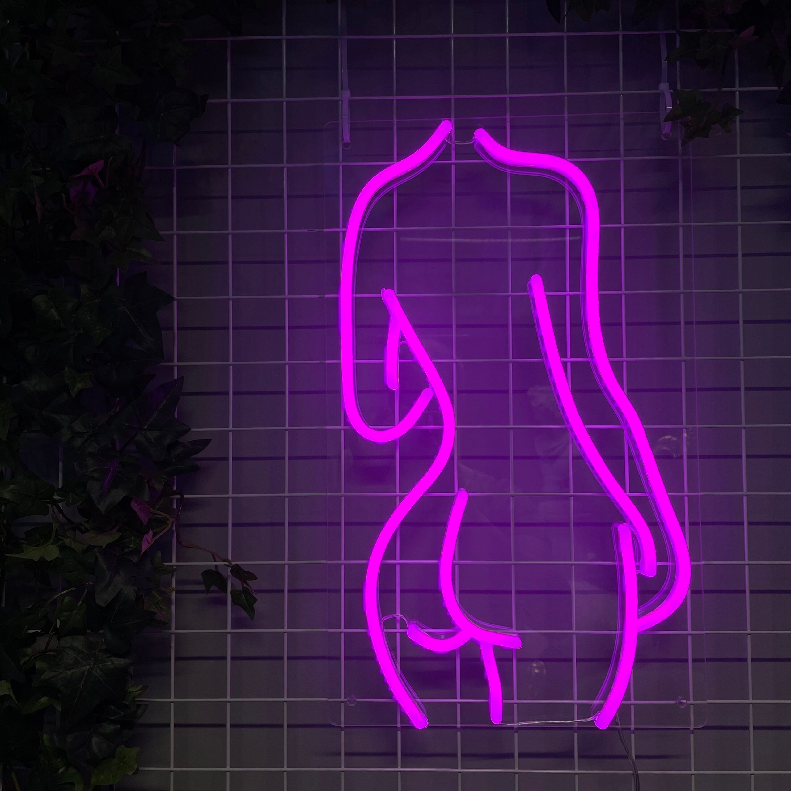 Neonskilt (Kvinnokropp)
