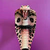 Porselen " Leopard Kobra" Rosa XL. Bestilling!