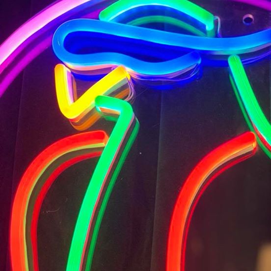"Papegøye"LED NEONSKILT. Bestilling!