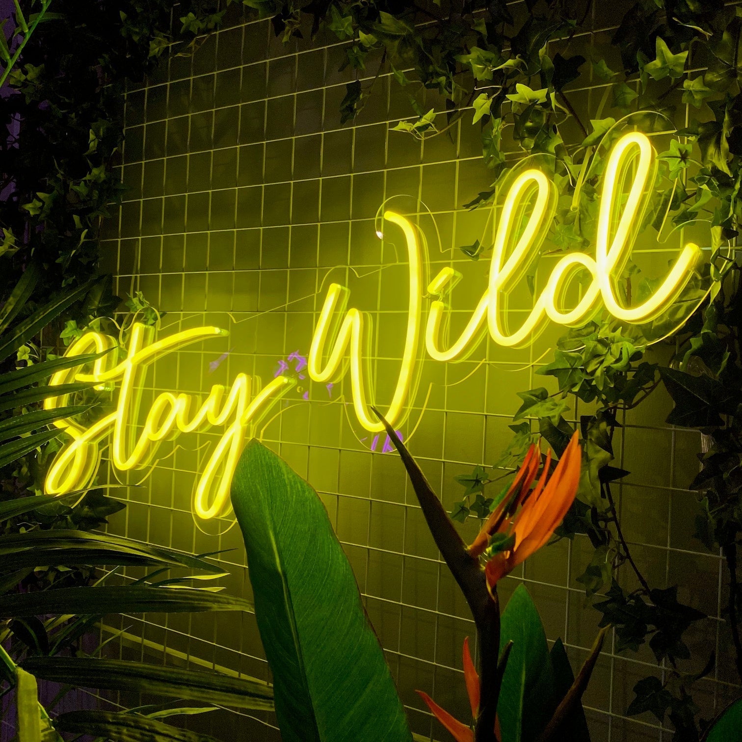 "Stay Wild" LED NEONSKILT. Bestilling!