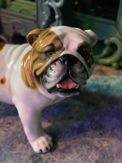 Porselen "Engelsk Bulldog" XL. Bestilling!