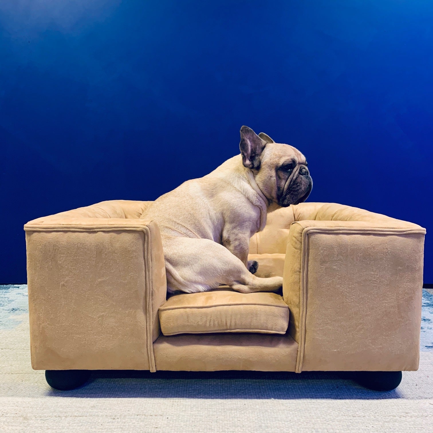 Hundeseng "Royal" Medium