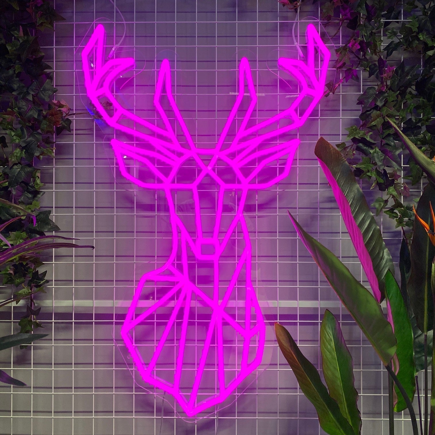 Neonskilt "RainDeer" Hot Pink