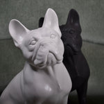 Porselen "Franskbulldog" hvit matt 34cm.