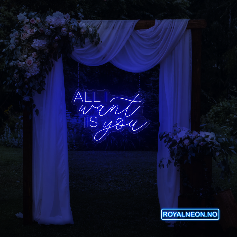 "ALL I want IS you" Led Neonskilt. Bestilling!
