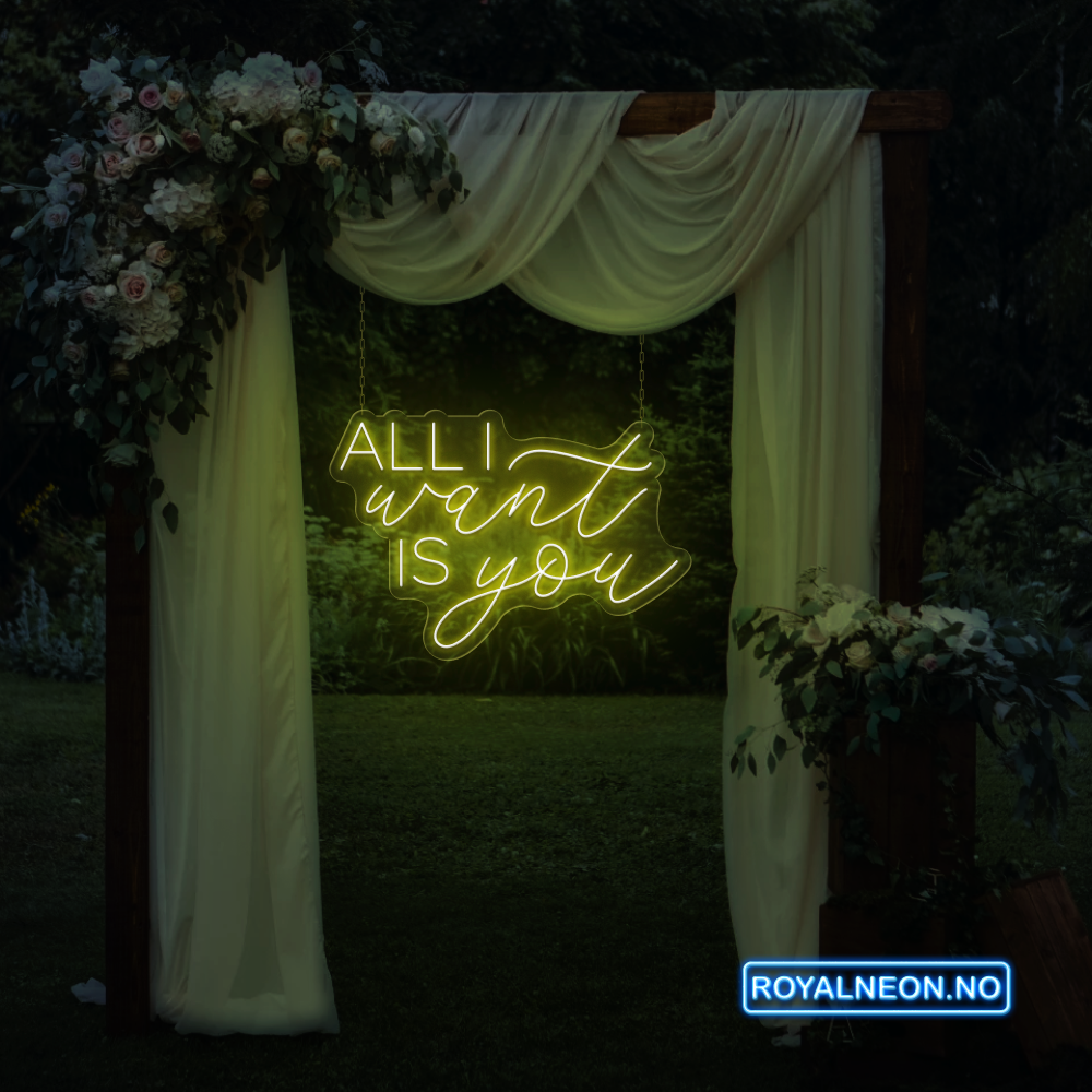 "ALL I want IS you" Led Neonskilt. Bestilling!