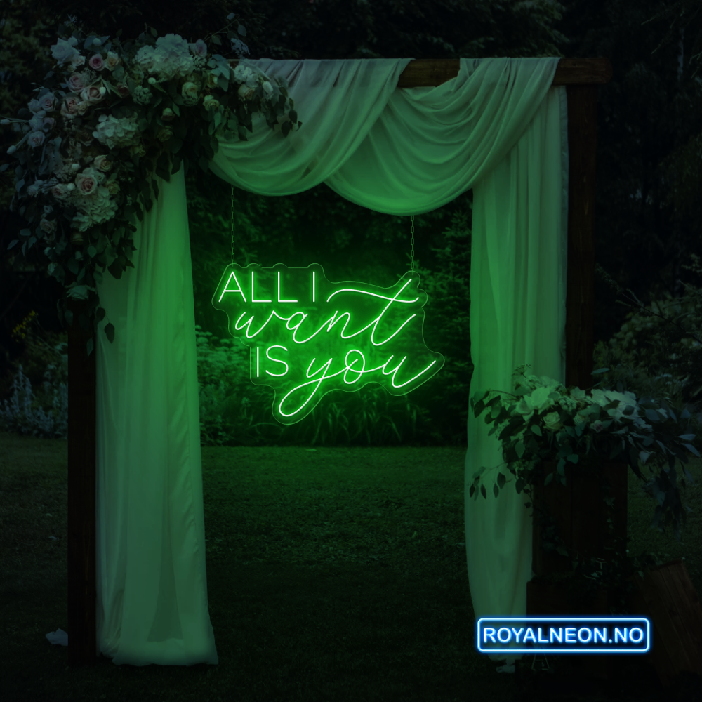 "ALL I want IS you" Led Neonskilt. Bestilling!
