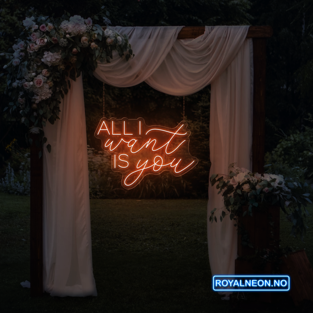 "ALL I want IS you" Led Neonskilt. Bestilling!