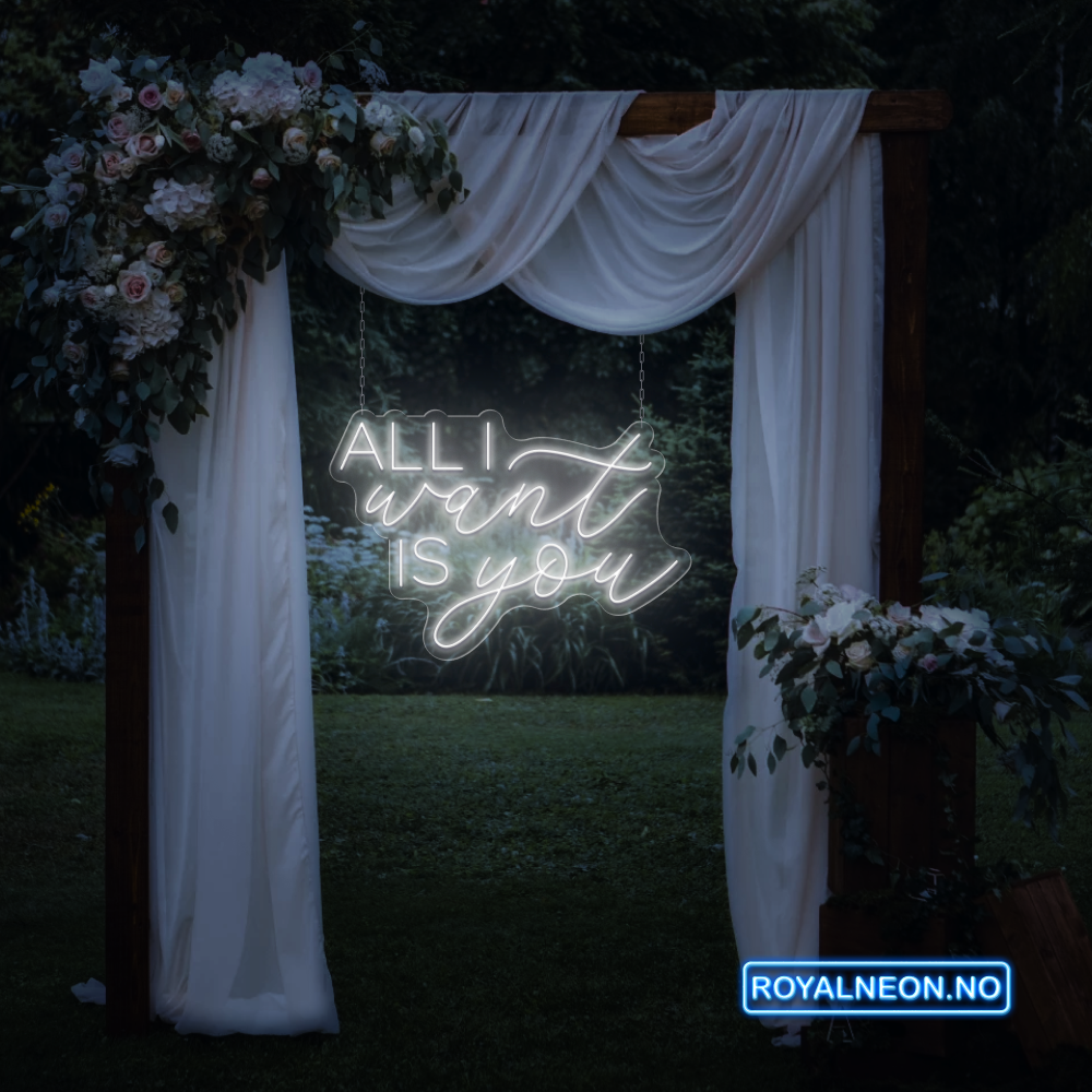 "ALL I want IS you" Led Neonskilt. Bestilling!